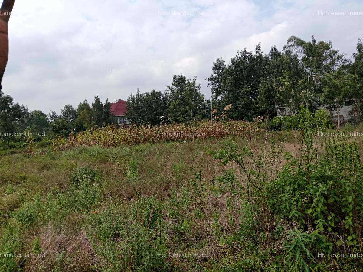 10,890 ac Land at Karen - 5