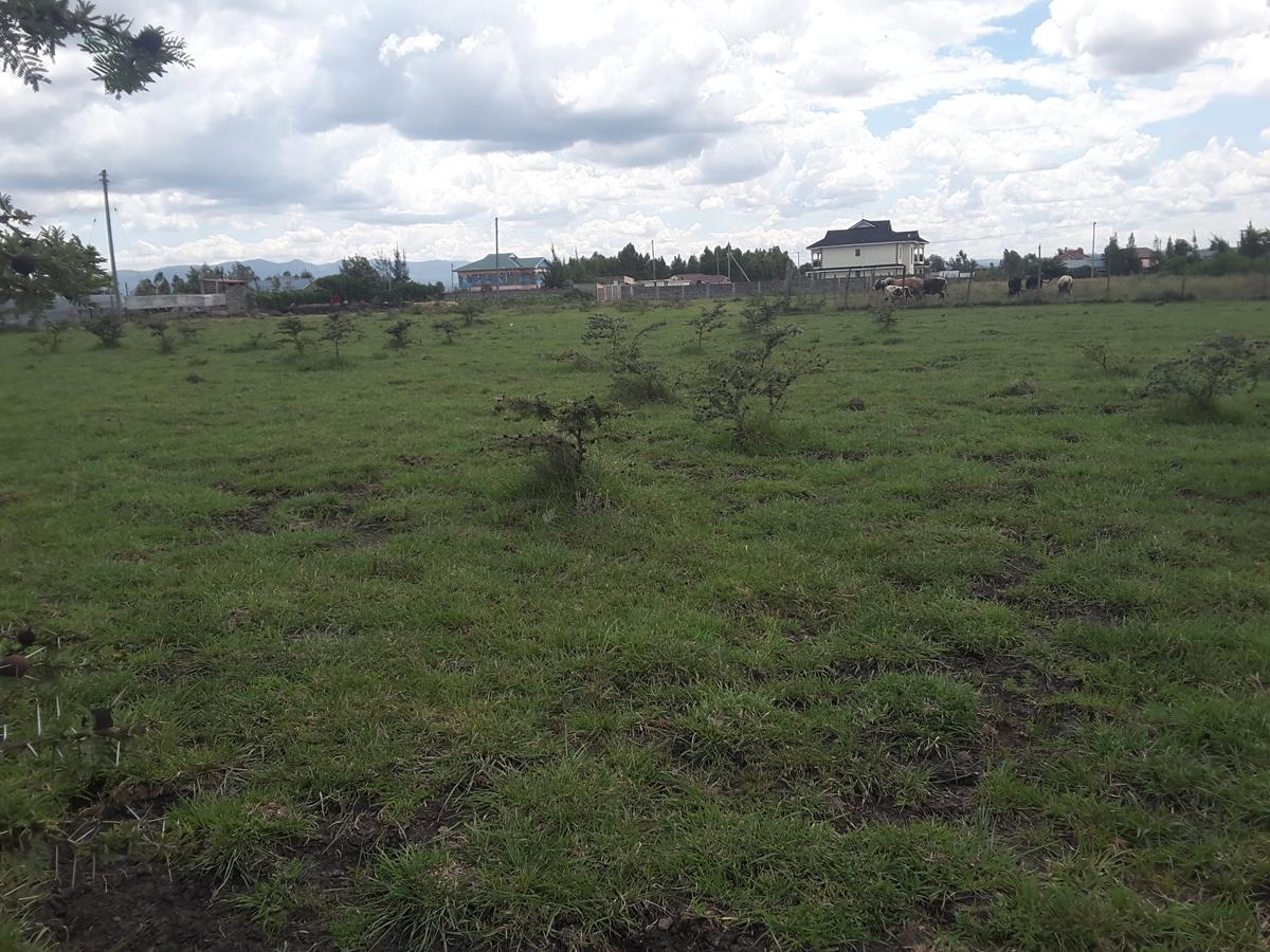 0.1 ha Residential Land in Ongata Rongai - 7