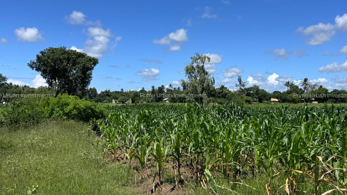 464 m² Land at Mavueni - 7