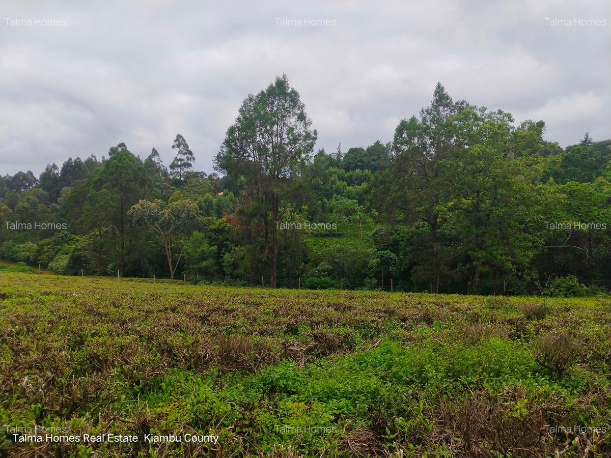 0.75 ac Land at Riara Ridge Area - 8