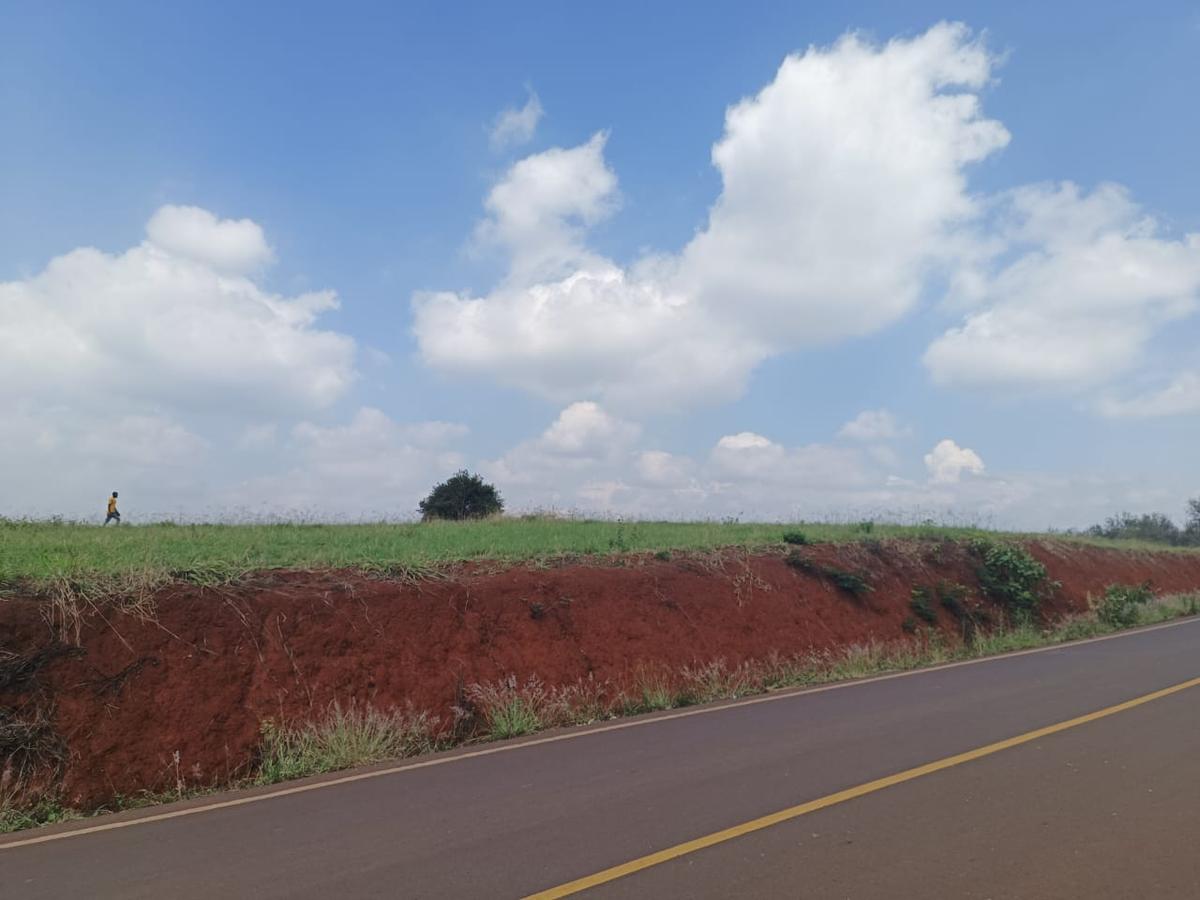 5 ac Land at Near Tatu City - 5