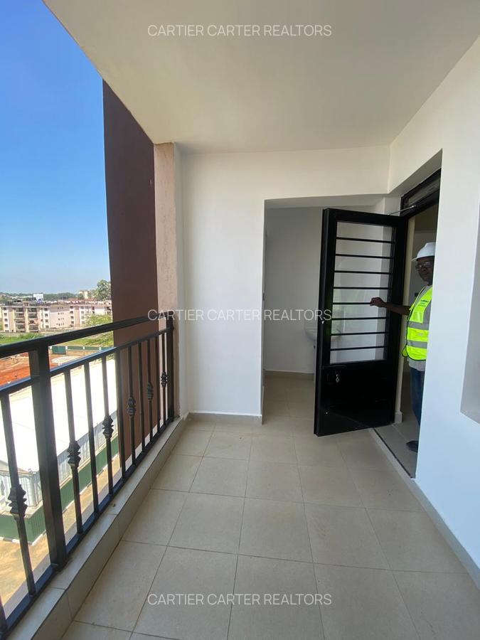 3 Bed Apartment with En Suite in Thindigua - 4