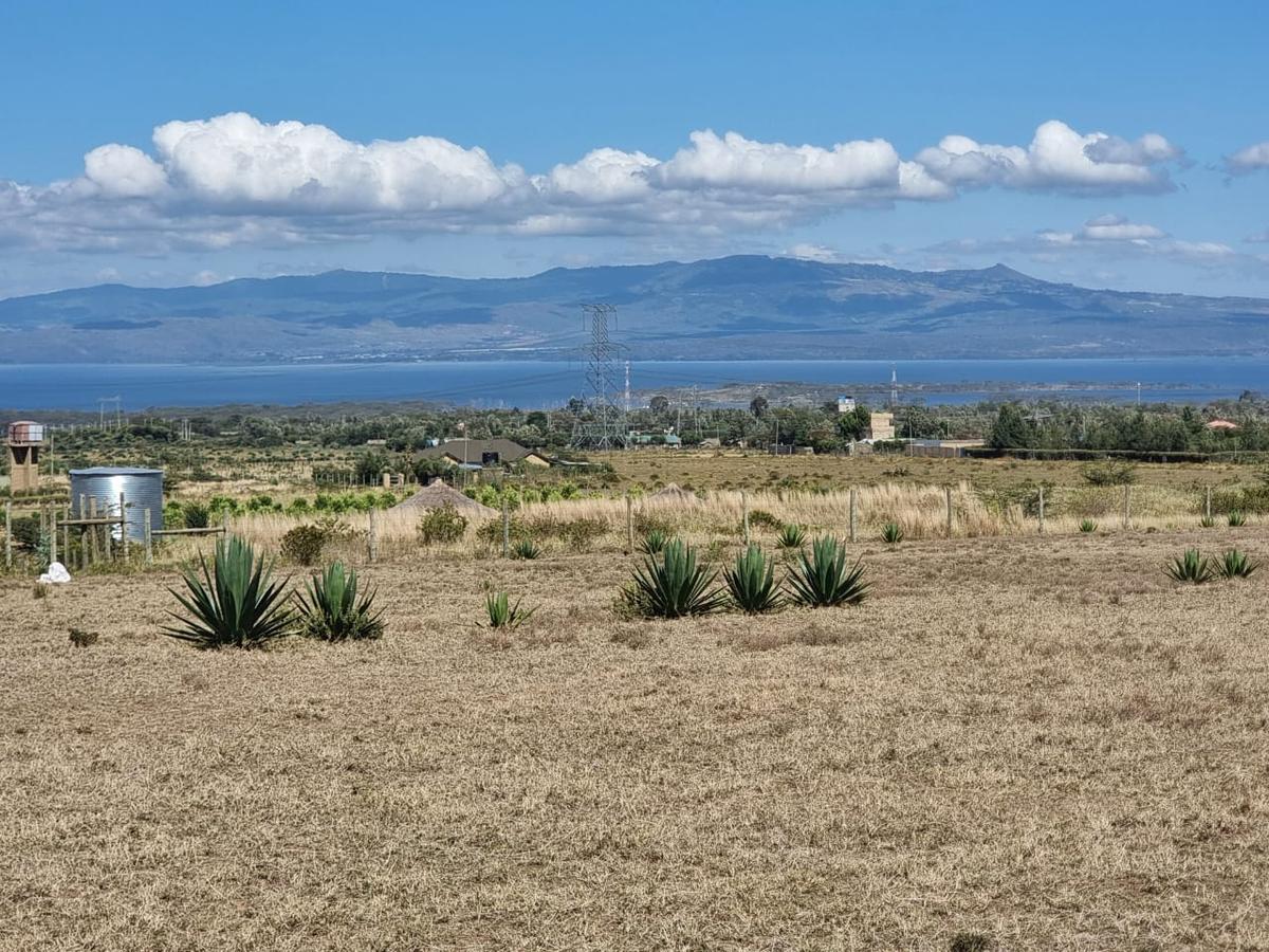 Land at Naivasha - 5