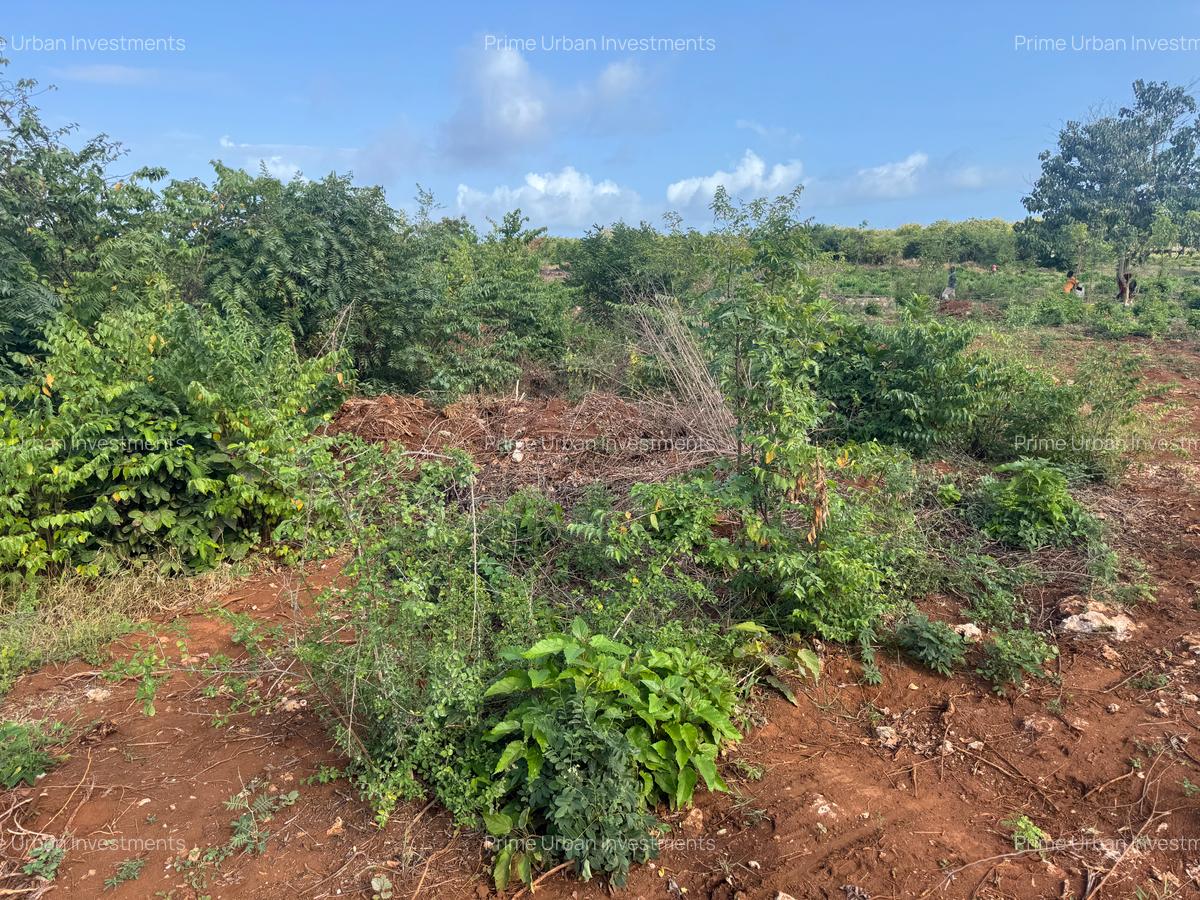 6 ac Land in Kilifi - 5
