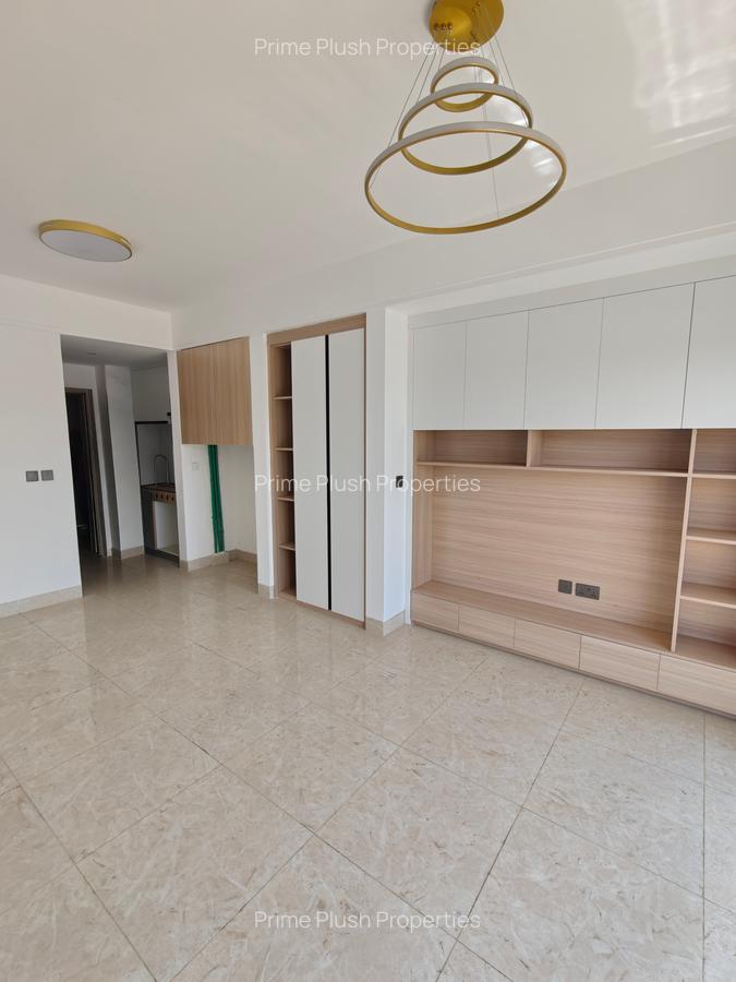 Studio Apartment with En Suite in Ruiru - 3