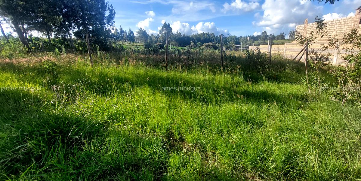 0.125 ac Land in Kamangu - 5