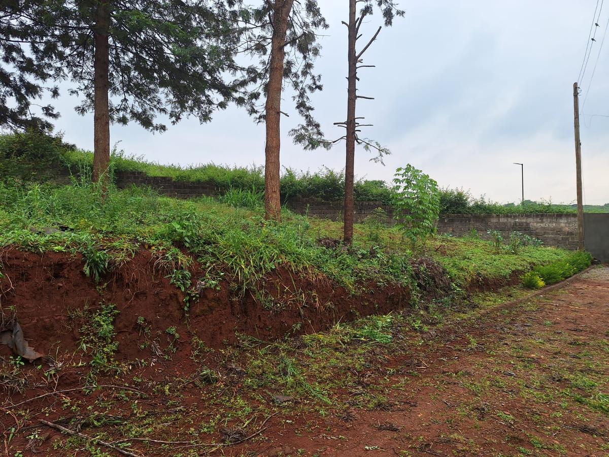 0.125 ac Residential Land at Runda - 6