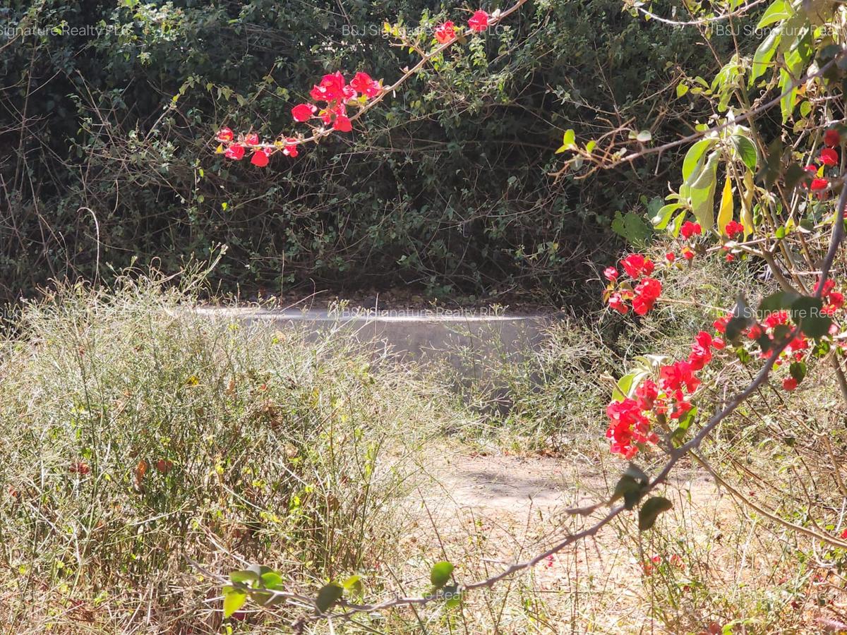 0.5 ac Land in Karen - 3