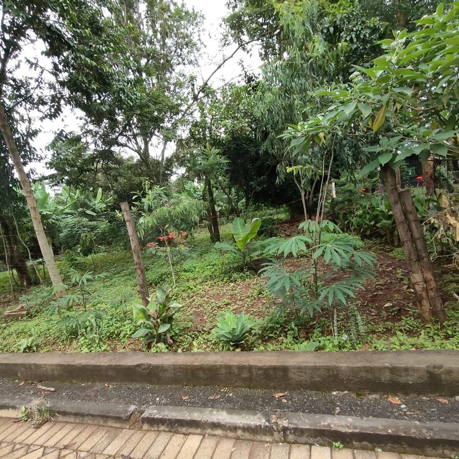 0.5 ac Land at Nandi Road - 4