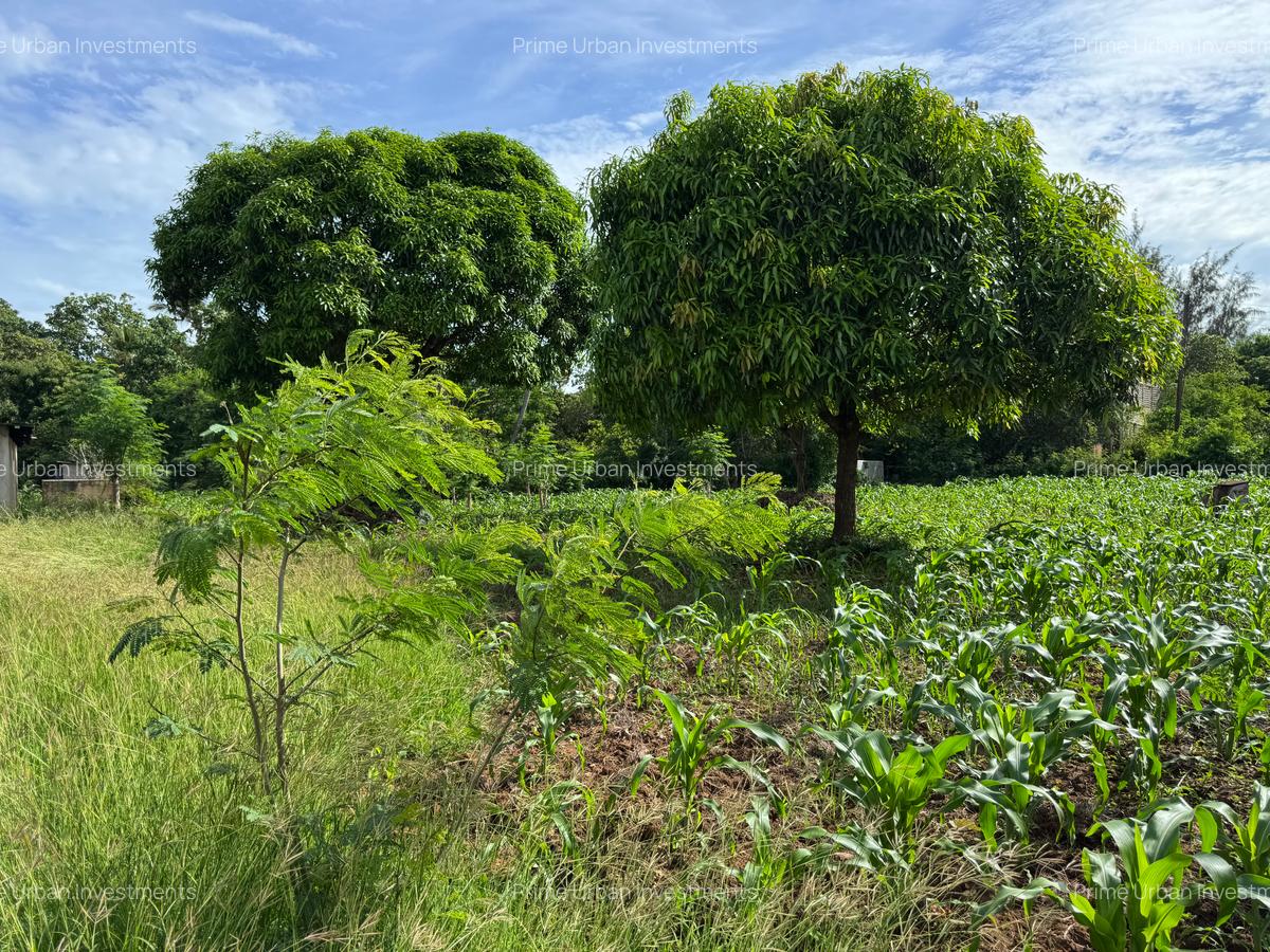 Land in Kikambala - 9