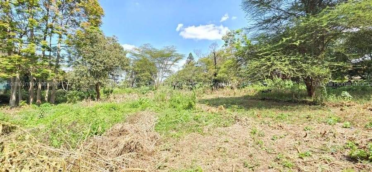 Residential Land in Spring Valley - 1