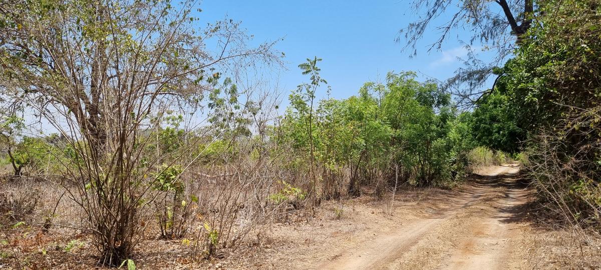 75 ac Land at Vipingo - 17