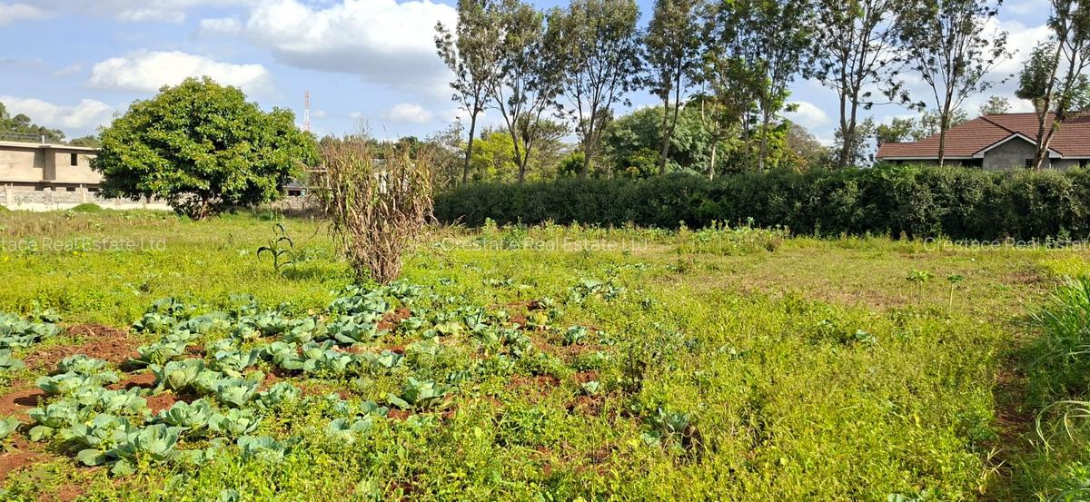 0.2 ha Residential Land at Three Dee Lane - 7