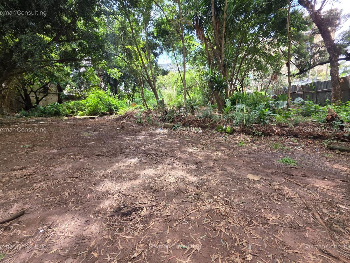 Land in Hurlingham - 12