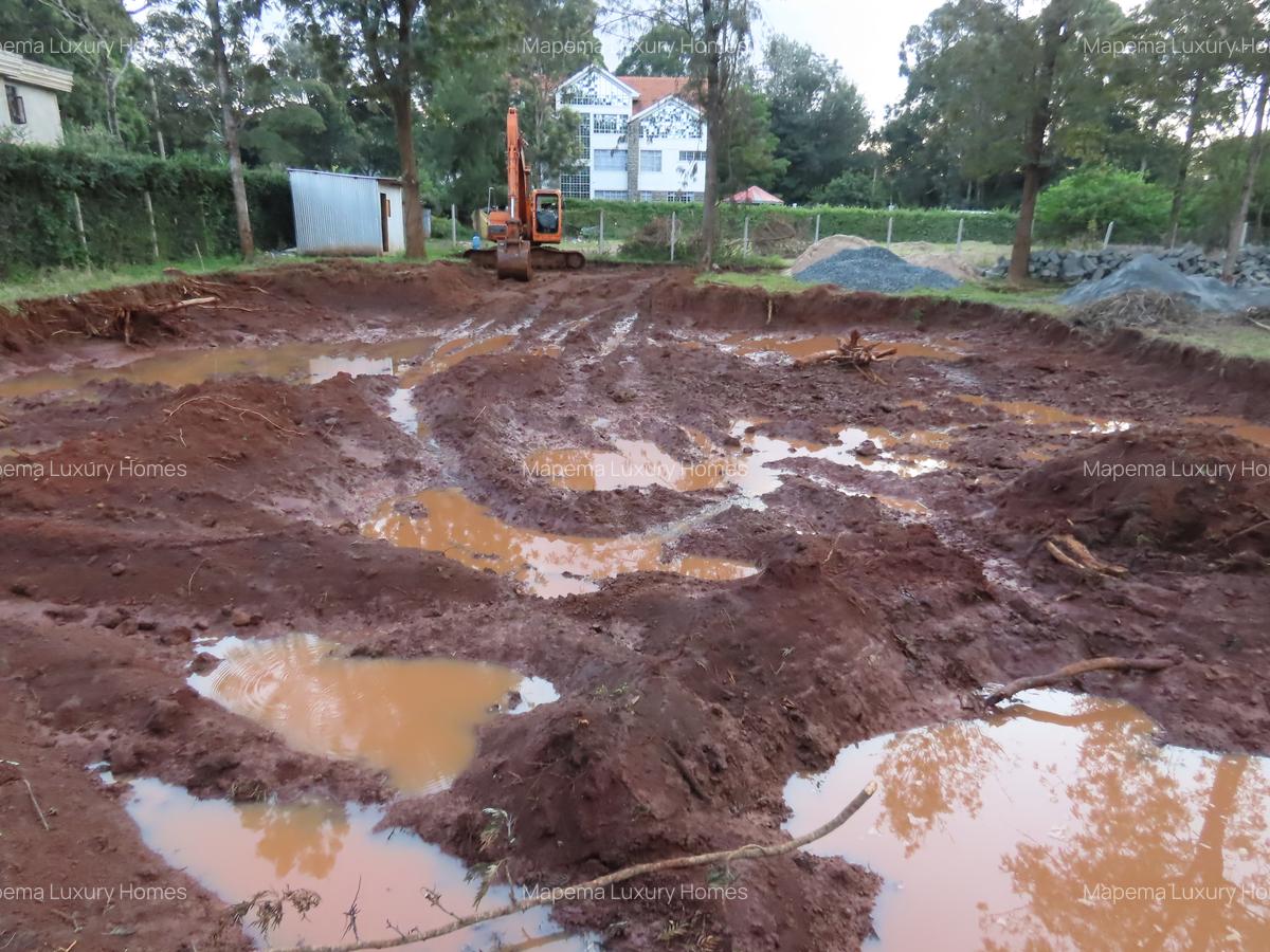 Residential Land at Mukinduri Road - 12