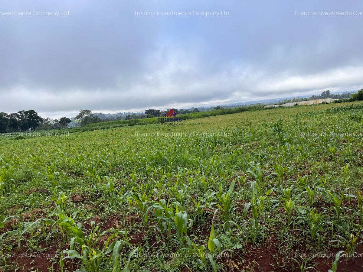 3.7 ac Land at Kiambu - 6