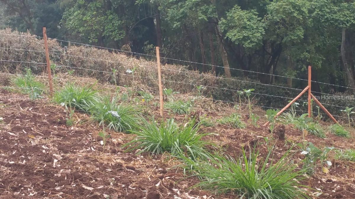 Land in Ngong - 3