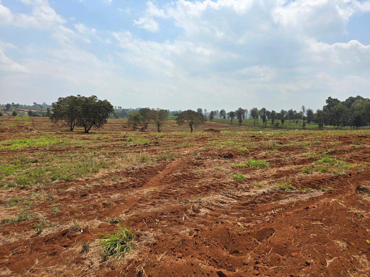 0.125 ac Residential Land in Kiambu Road - 12