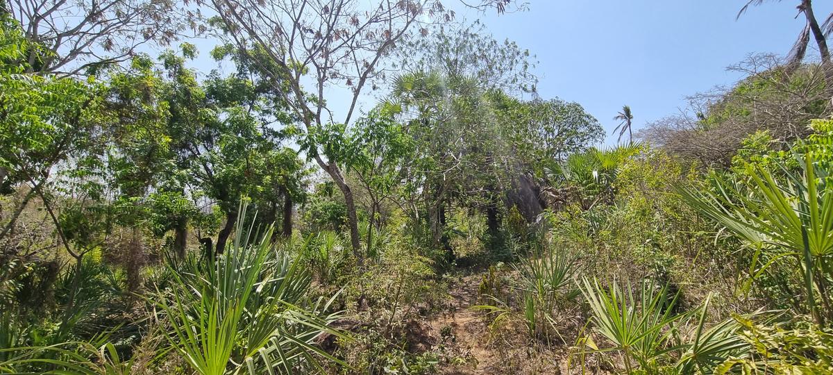 1 ac Land at Mtwapa Creekside - 7