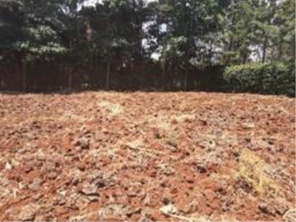 Residential Land at Ngong - Kerarapon - 4