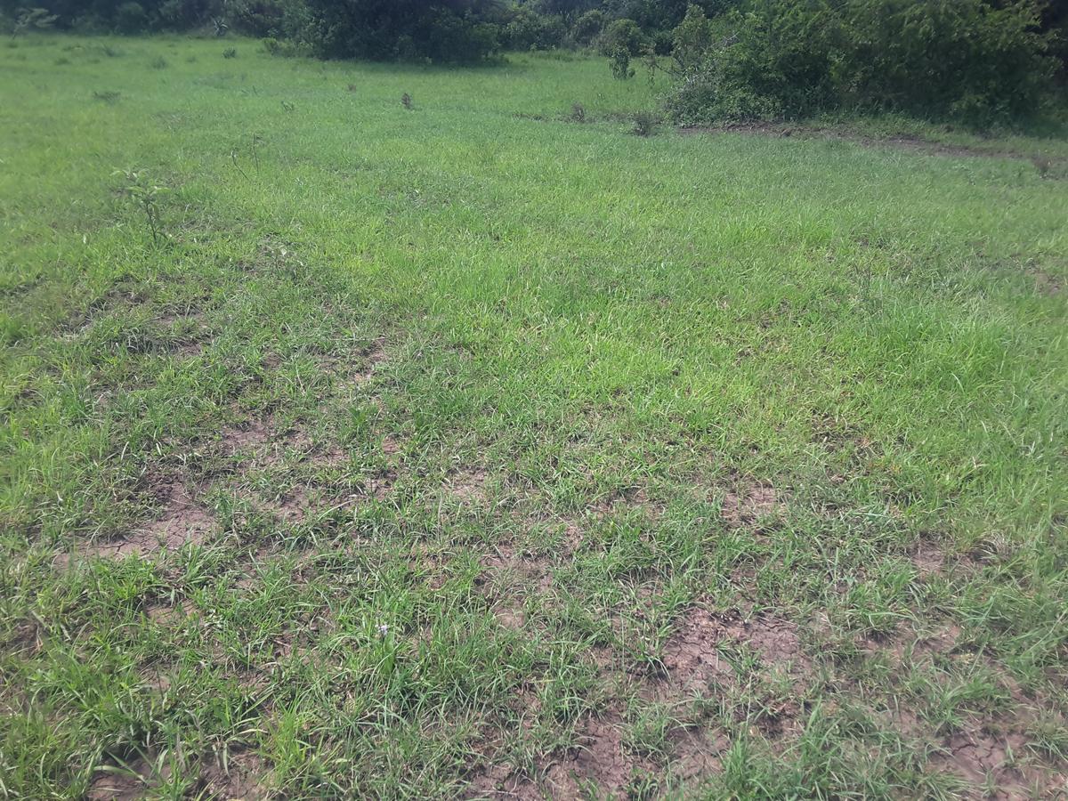 2 ac Land in Ongata Rongai - 13