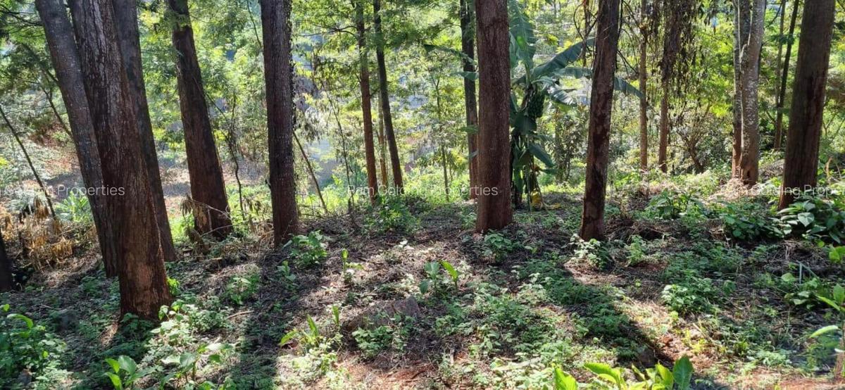 0.5 ac Land at Kirawa Road - 2