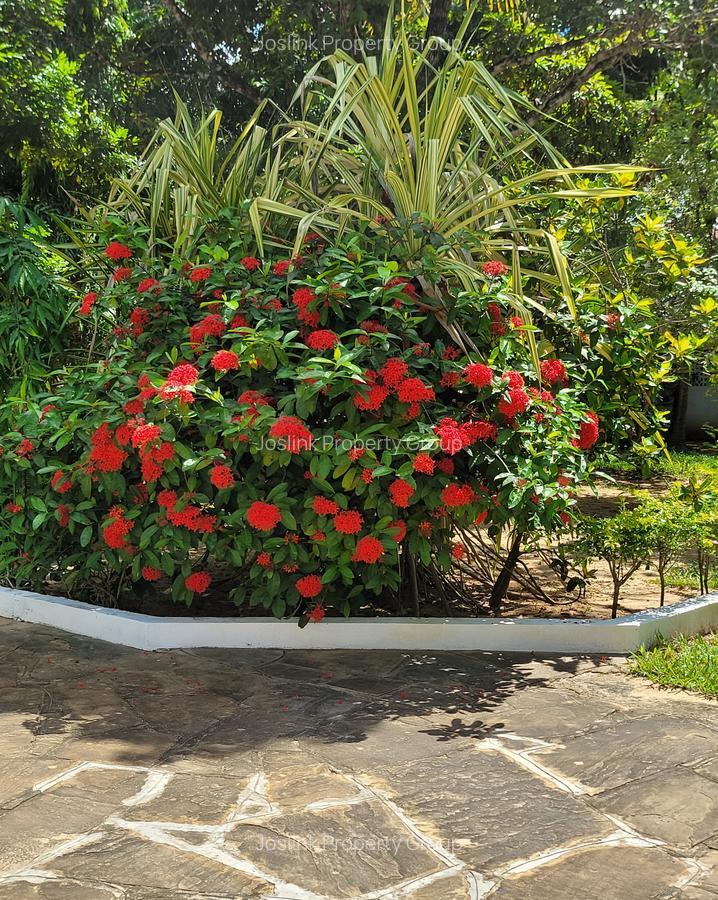 Serviced 4 Bed Apartment with En Suite in Nyali Area - 3