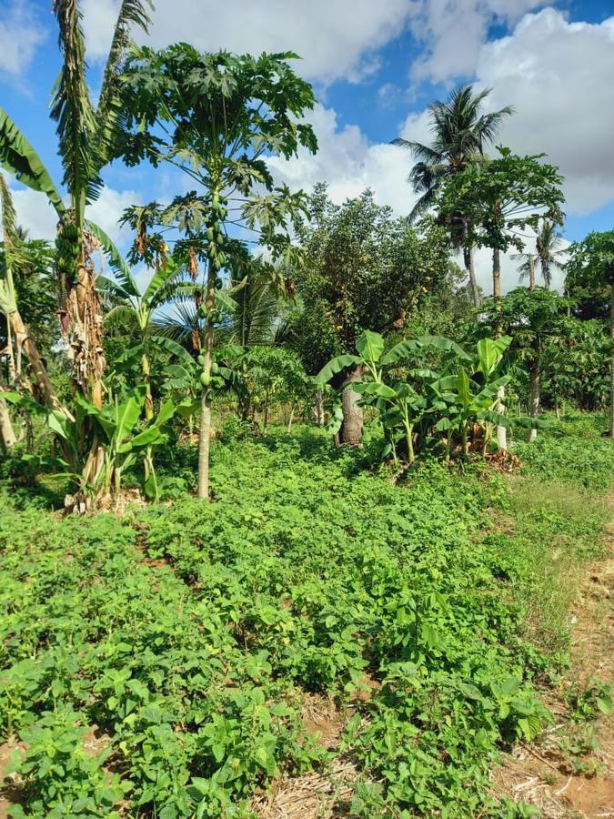 2 ac Land in Ukunda - 8