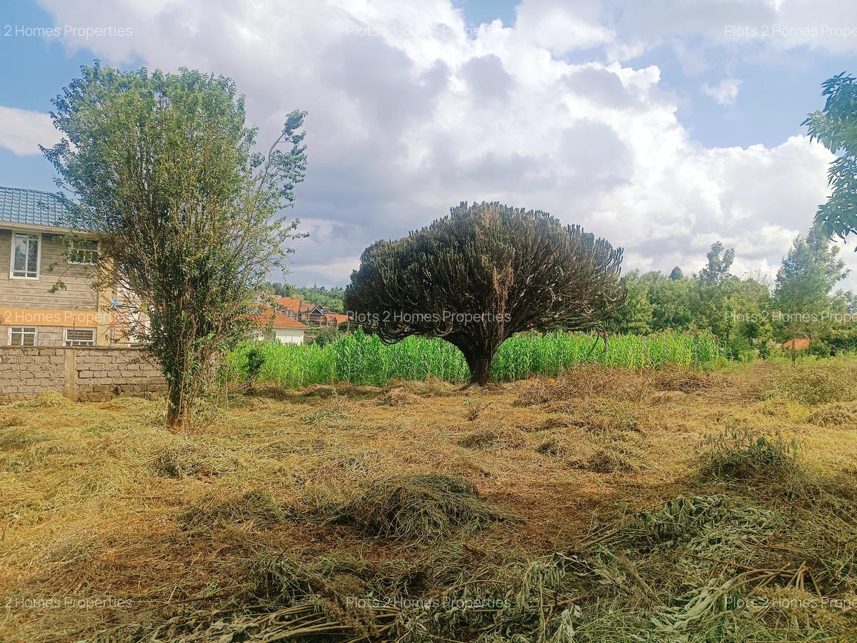 1,000 m² Residential Land at Riu-Nderi - 9