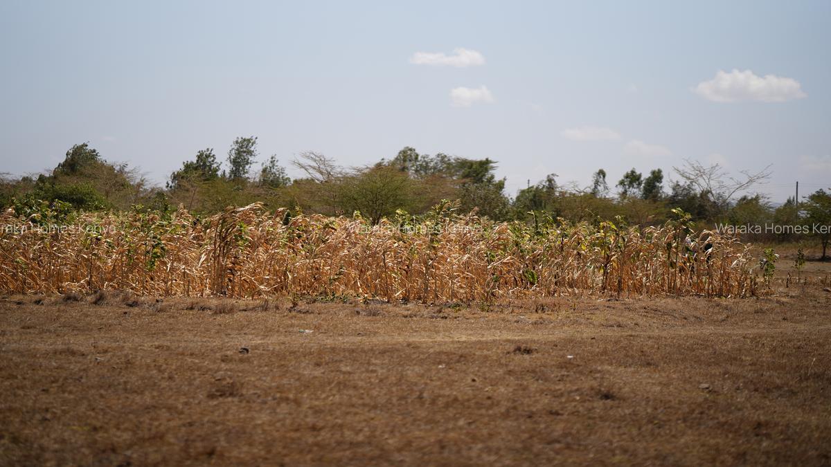 Land at Kangundo Road - 14