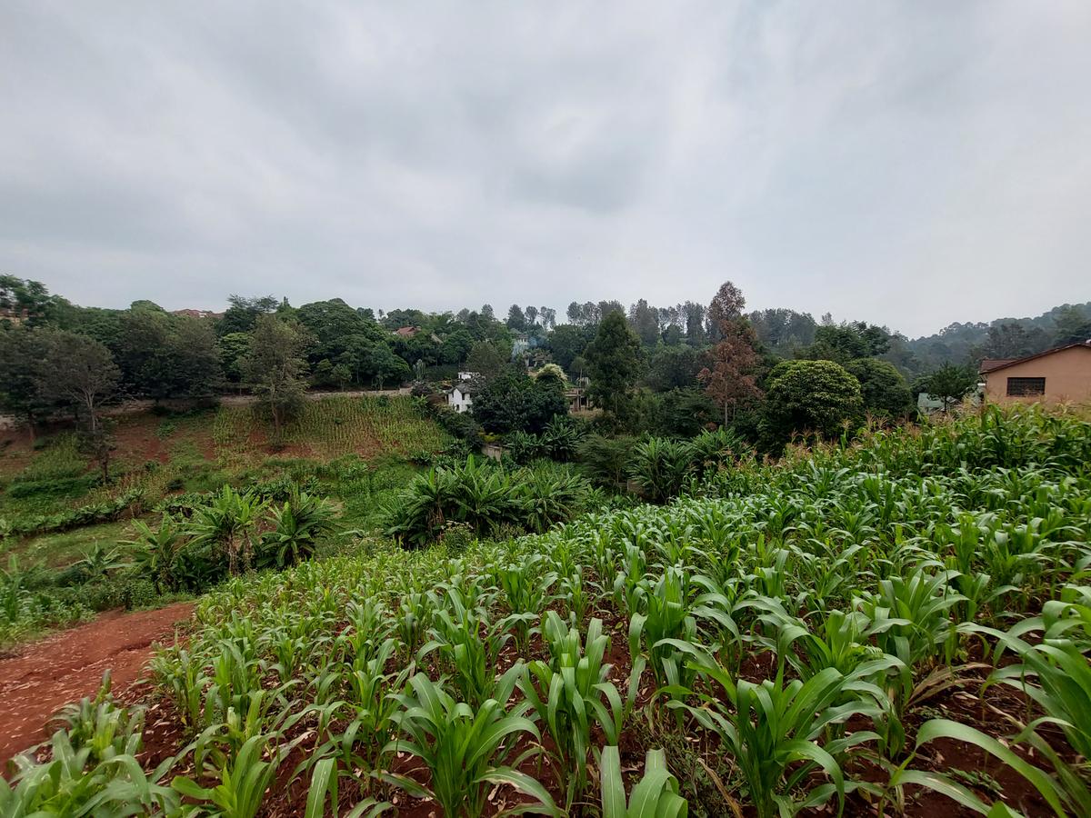 Residential Land at Kitisuru Ridge 44 - 17