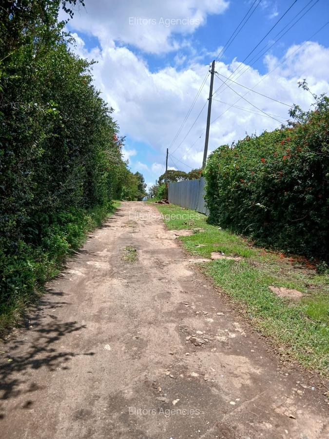 0.25 ac Residential Land at Baboon Cresent - 4