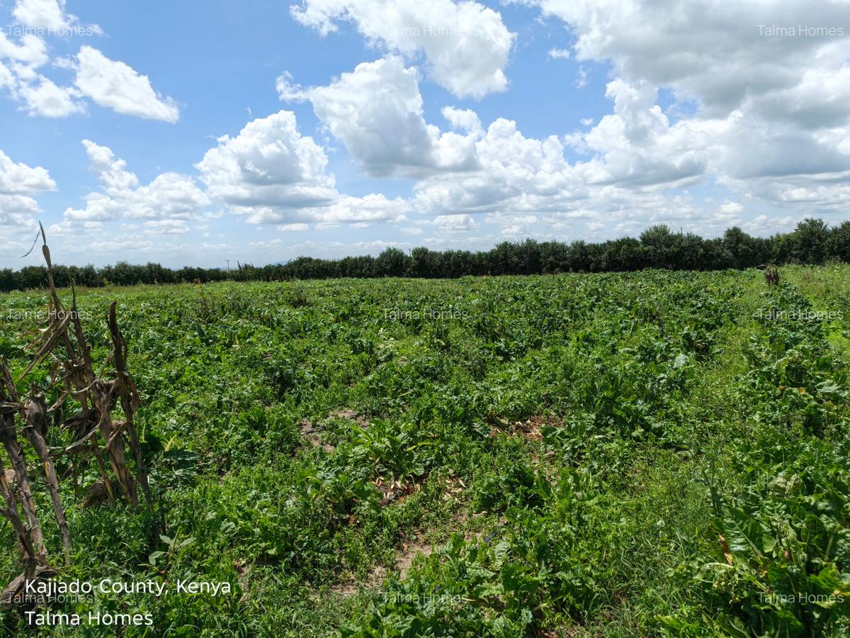 10 ac Land at Isinya - 16