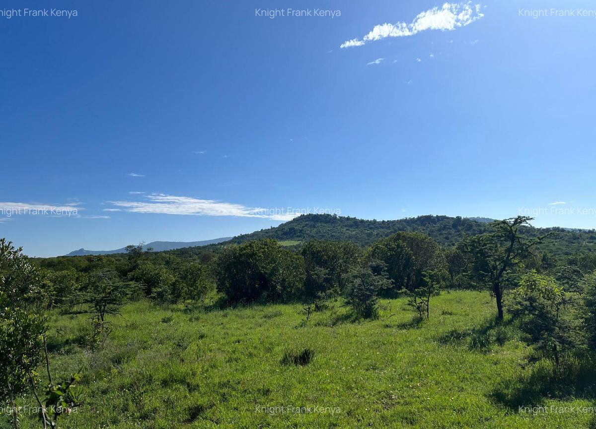 30.3 ac Land at Lolldaiga Valley - 2