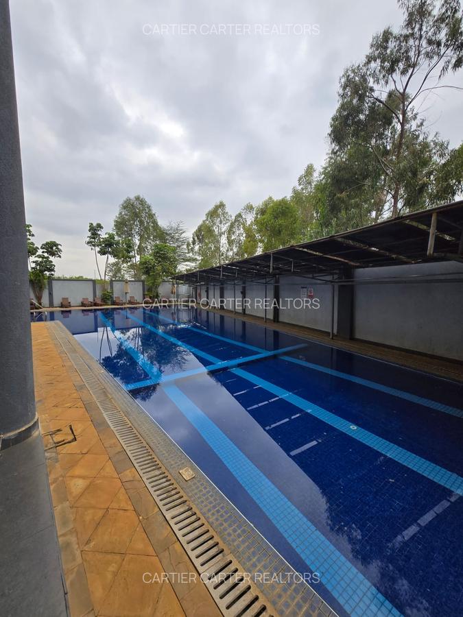 Furnished 2 Bed Apartment with En Suite in Kiambu Road - 18