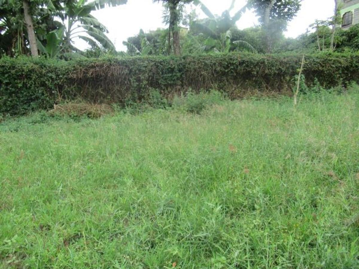 1,214 m² Commercial Land at Mugutha - 10