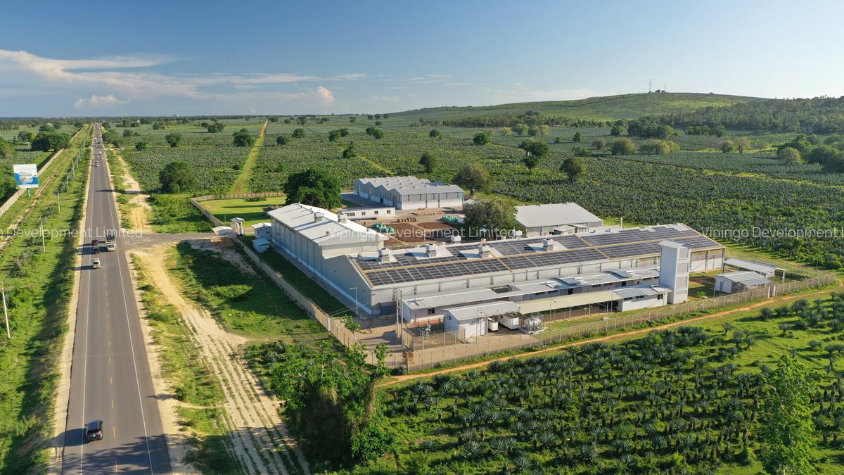 Commercial Land at Vipingo - 4