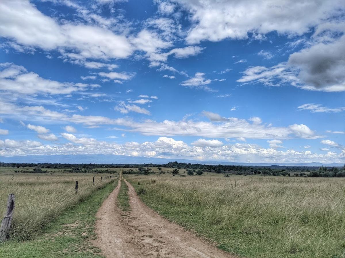 10 ac Land in Nanyuki - 3