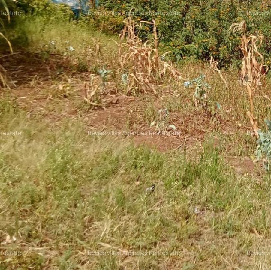 Residential Land at General Mathenge - 2