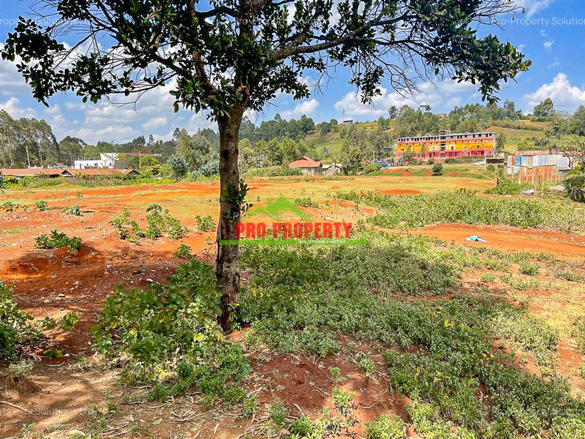 0.08 ha Commercial Land at Limuru - 3