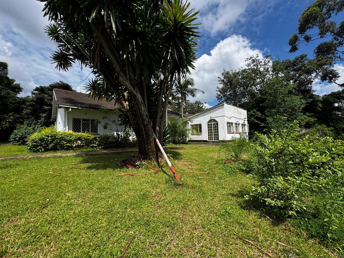 1 ac Commercial Property with Parking in Riverside - 9