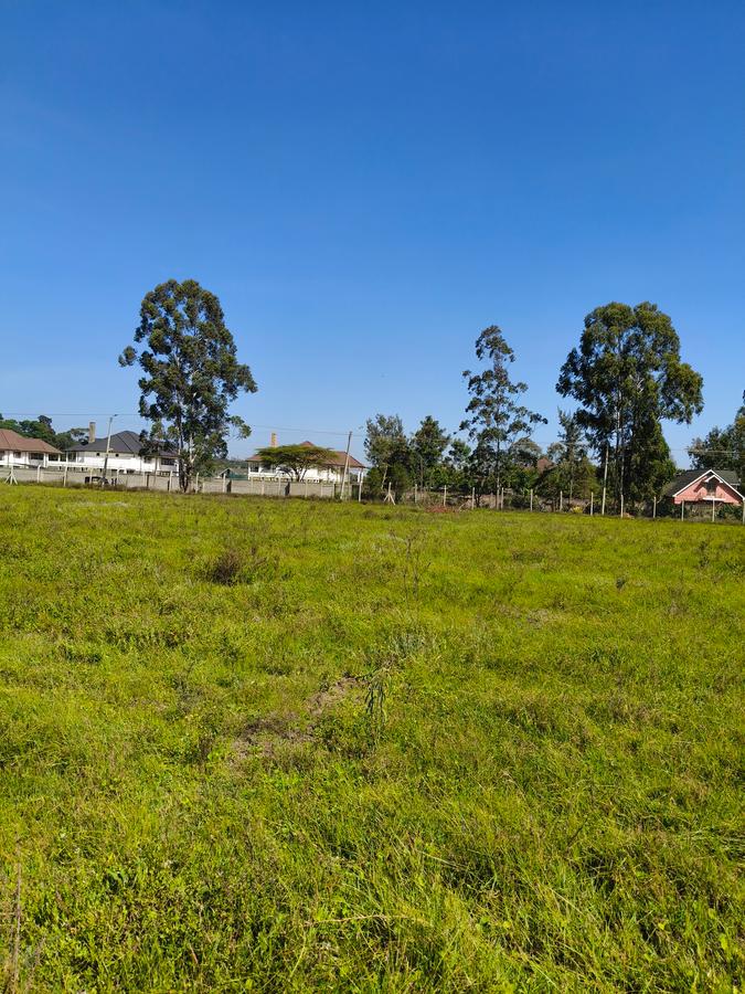 Residential Land at Marula Road - 20