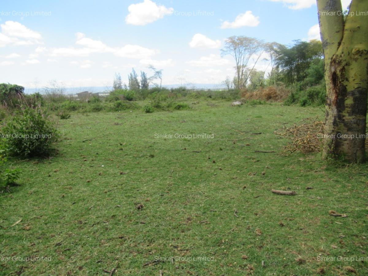 25 ac Land at Moi S Lake Rd - 10