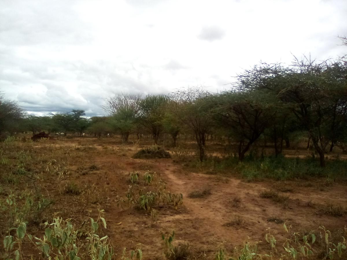 Land at Namanga Rd - 8