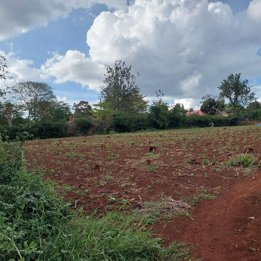 Residential Land at Runda Grove - 6