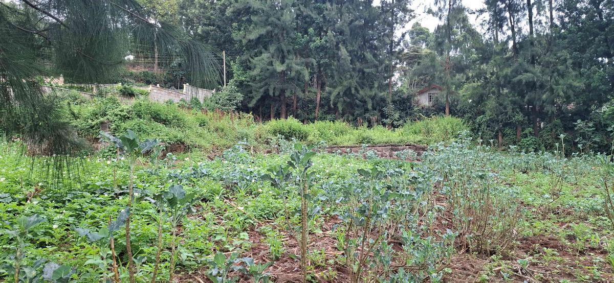 0.5 ac Land in Ngong - 4