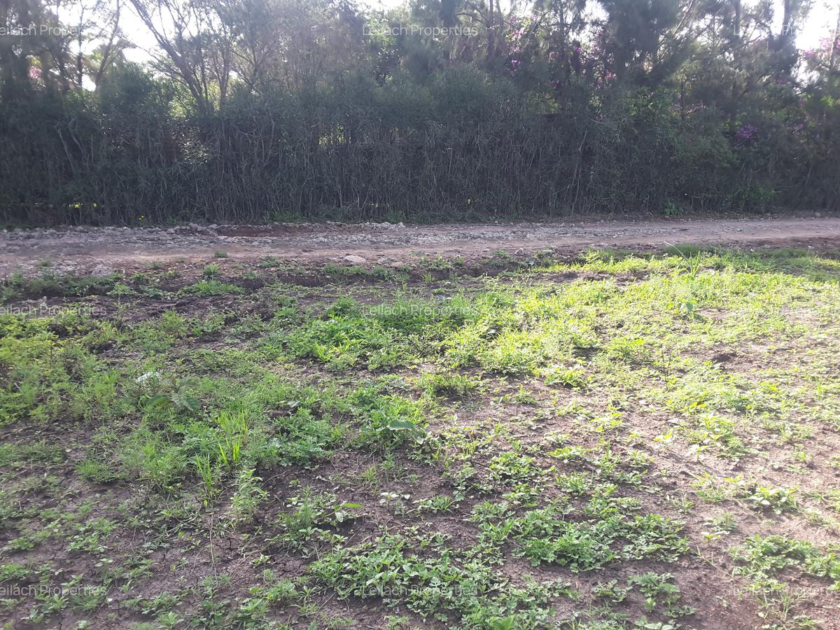 0.25 ac Residential Land in Ongata Rongai - 3