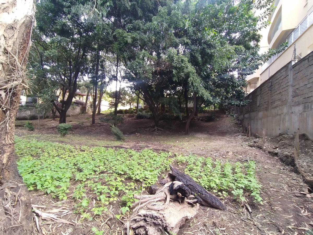 0.78 ac Residential Land in Riara Road - 9