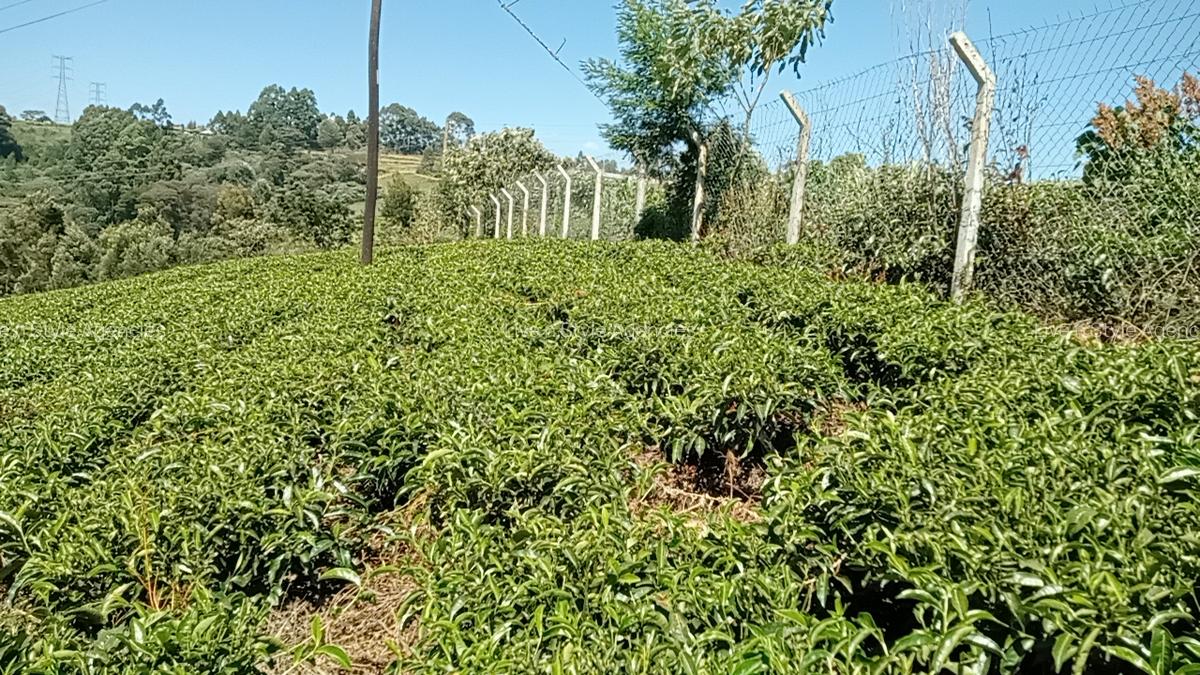 Residential Land in Tigoni - 8
