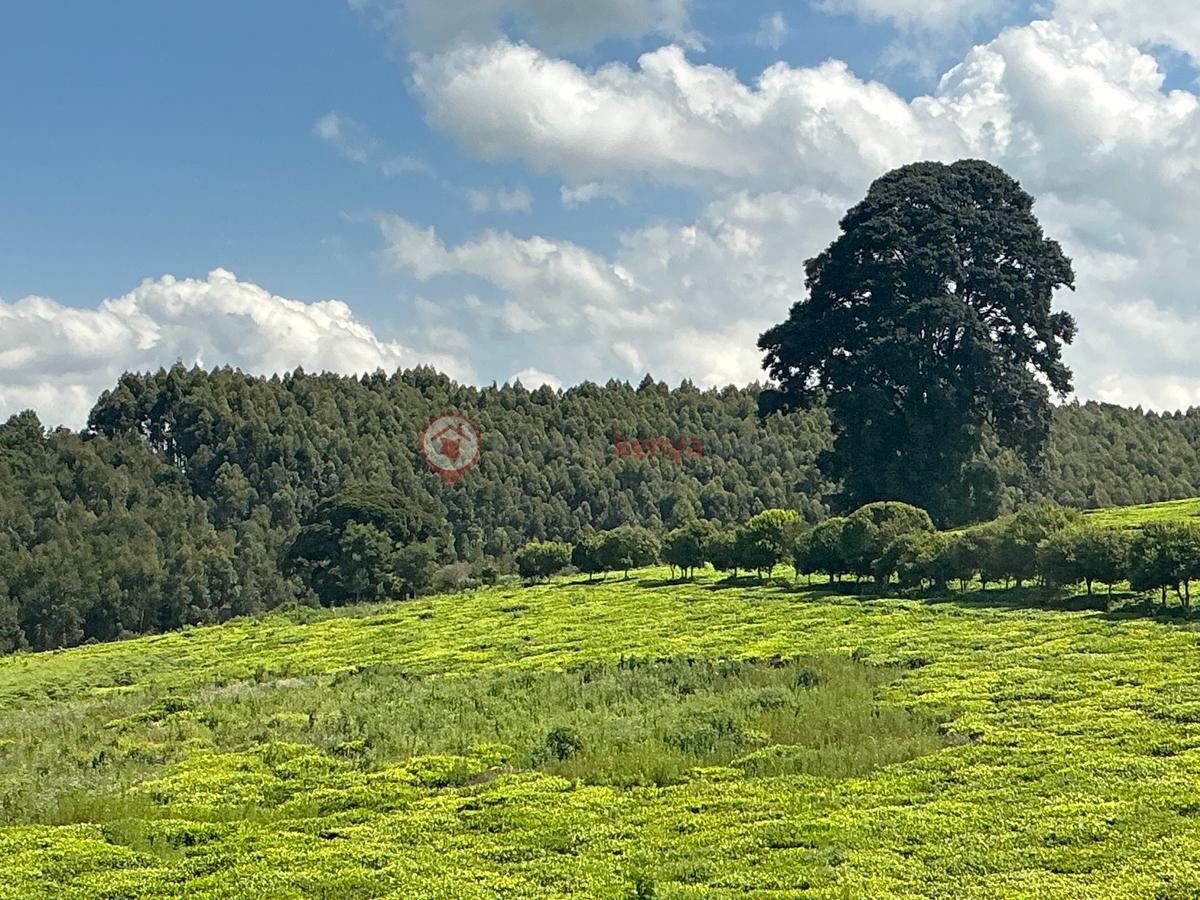 0.5 ac Land at Limuru Girls Secondary School - 11